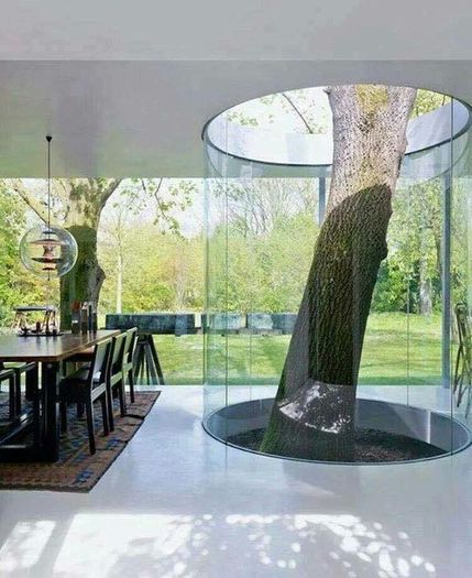 image - Idei practice si amenajari