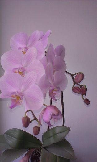 IMAG2672