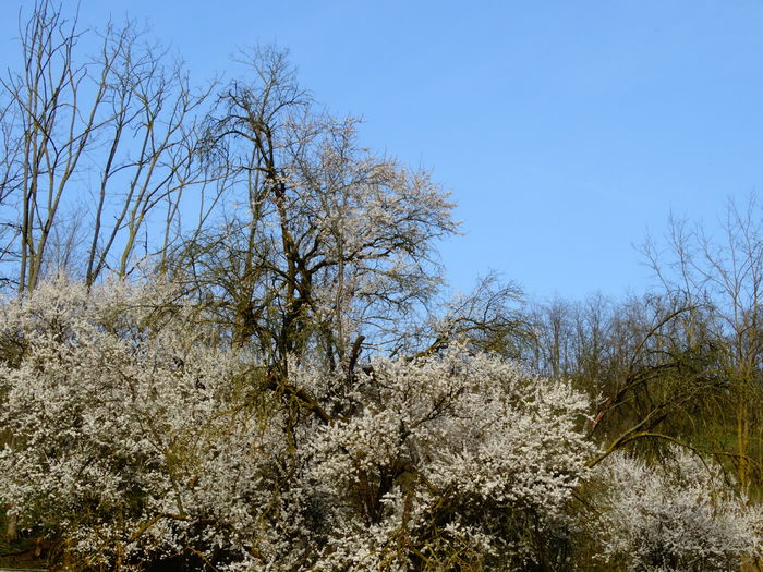 DSC05790