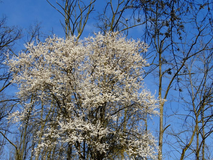DSC05708