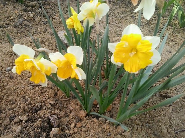 20160404_181936
