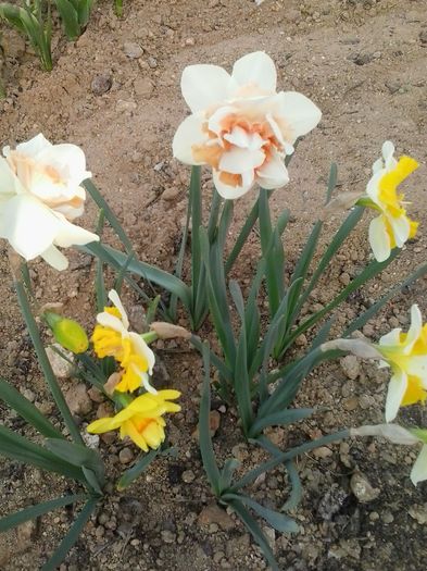 20160404_182030
