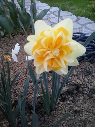 20160404_191841