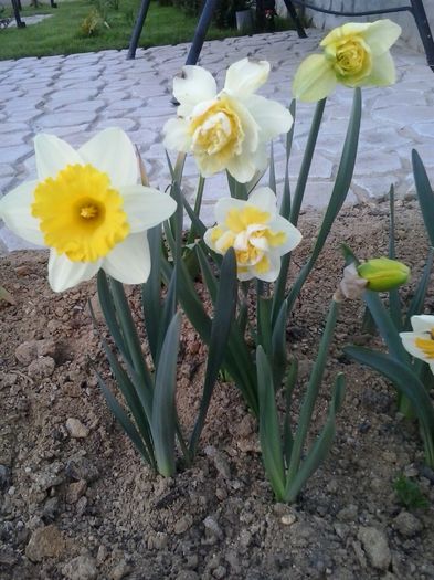 20160404_191856