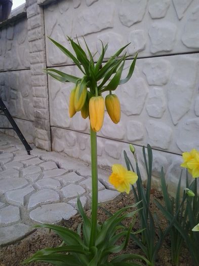 20160404_191859