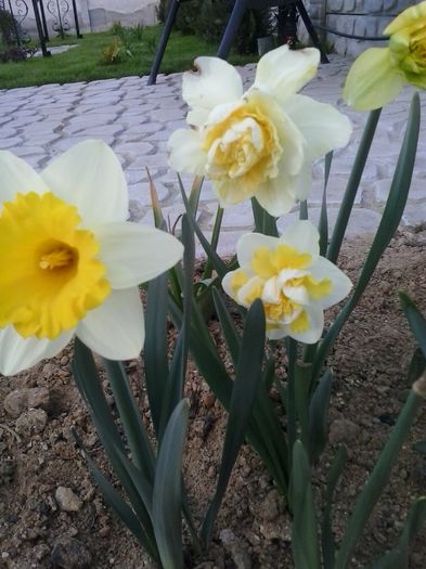 20160404_191904