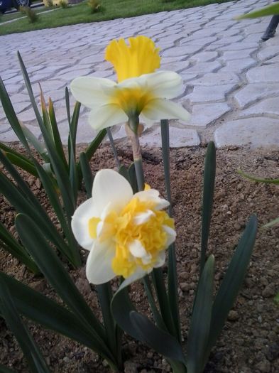 20160404_191911