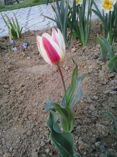 20160404_191920
