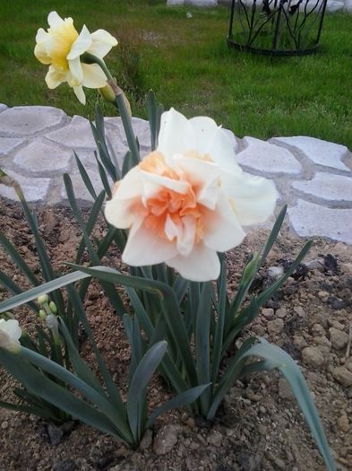20160404_191931