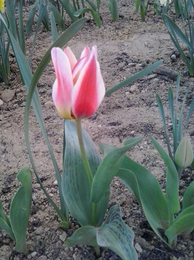20160404_191935
