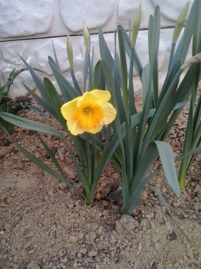 20160404_191947