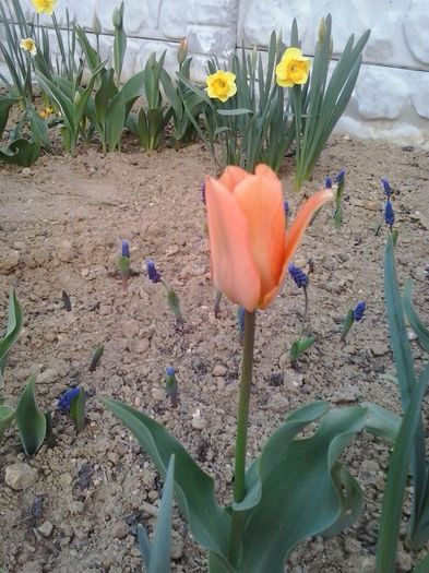 20160404_191959