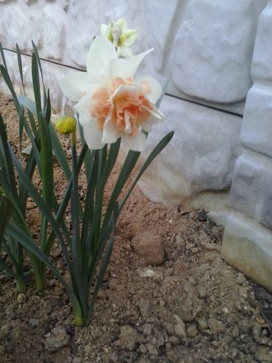 20160404_192006