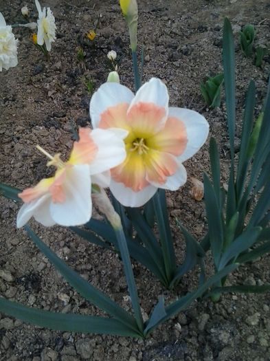 20160404_192023