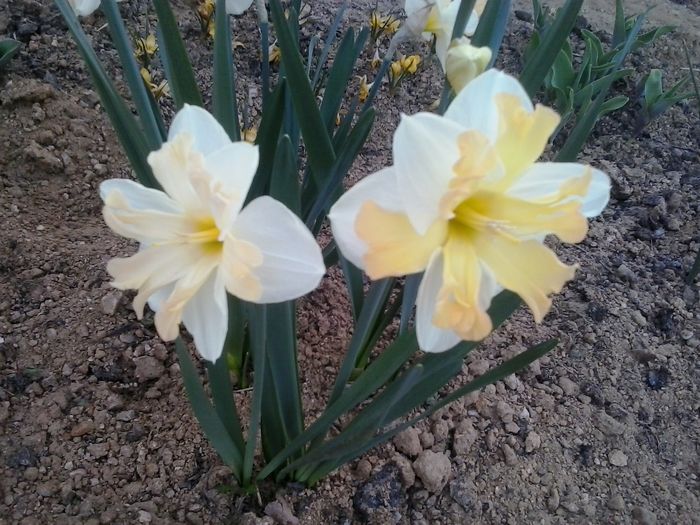 20160404_192026