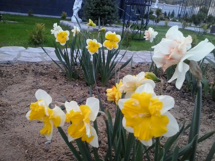 20160404_192034