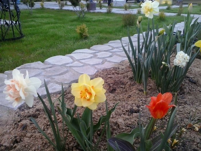 20160404_192047