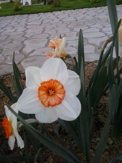 20160404_192122