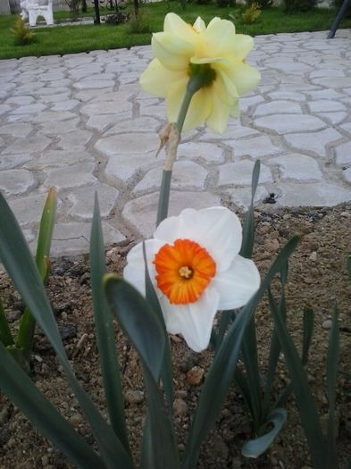 20160404_192125