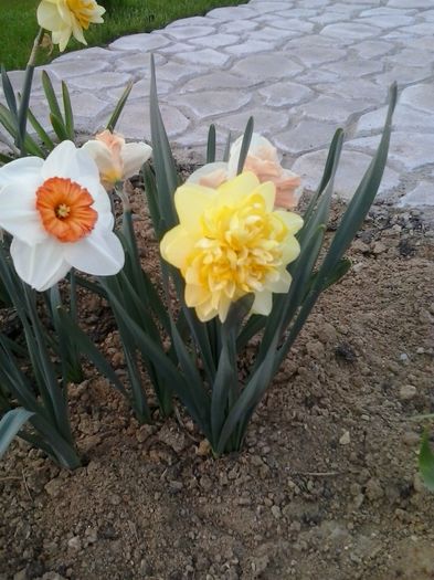 20160404_192132