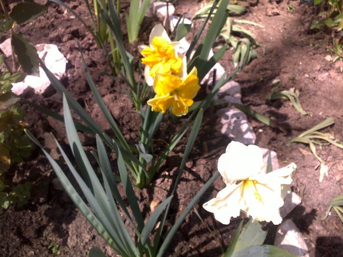 030420162908