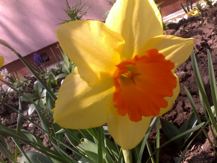030420162909