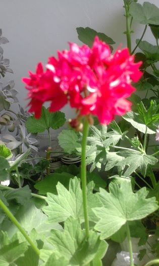 20160405_143011