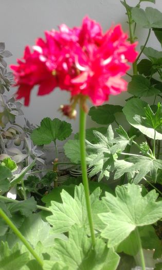 20160405_143021