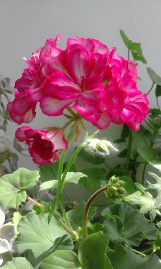 20160405_143045