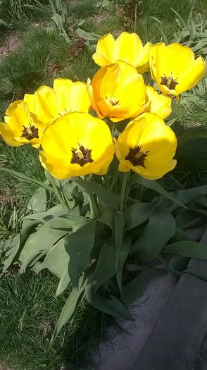 WP_20160405_11_30_01_Pro