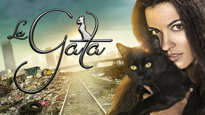 La gata