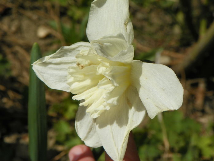 4 apr (37)