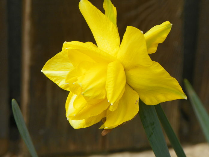 4 apr (74)