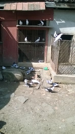 WP_20160405_12_18_32_Pro