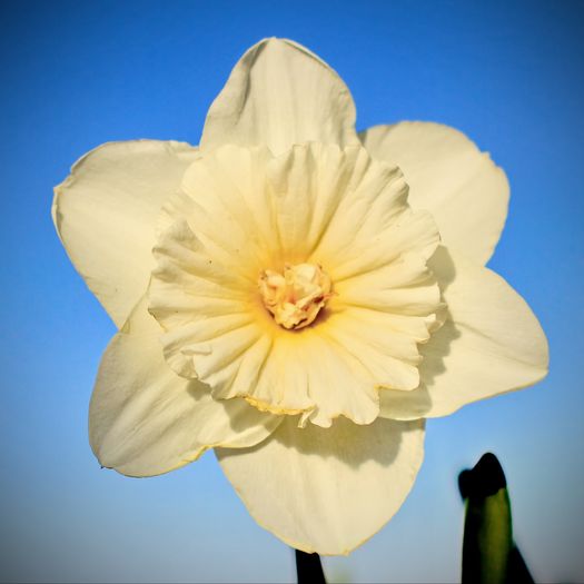 IMG_8173 - 2016 aprilie