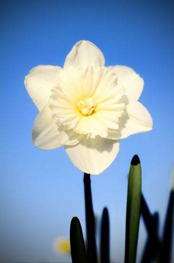 IMG_8174 - 2016 aprilie