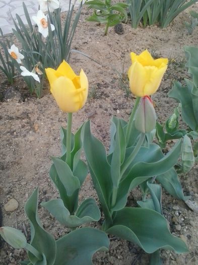 20160405_185125