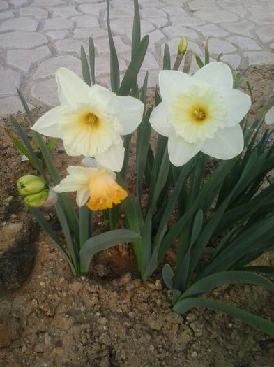 20160405_185132