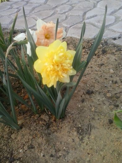 20160405_185136