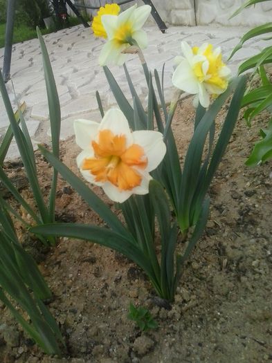 20160405_185157