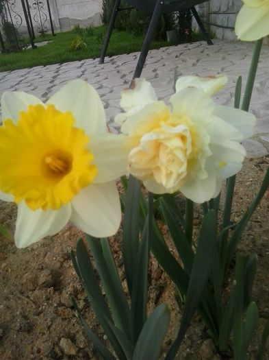 20160405_185203