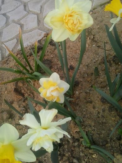20160405_185208