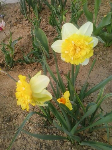20160405_185257