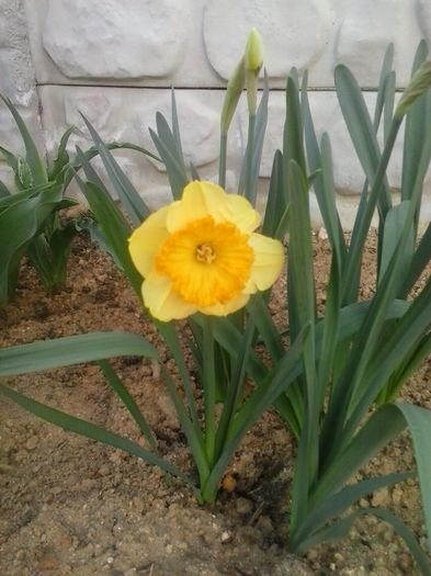 20160405_185308