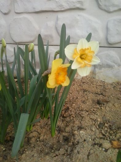 20160405_185311