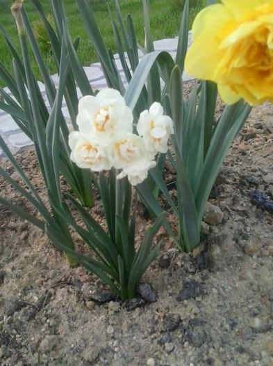 20160405_185325