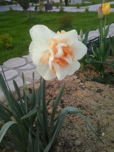 20160405_185331