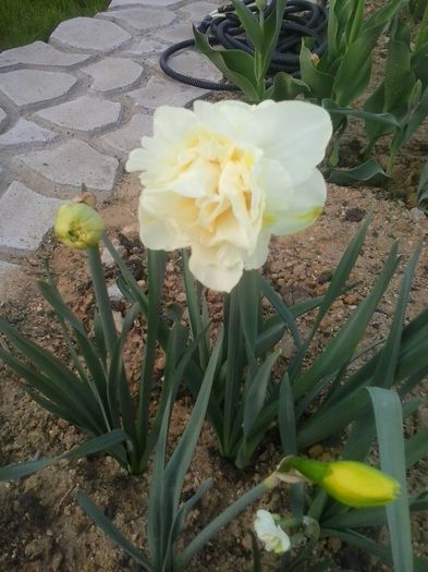 20160405_185334