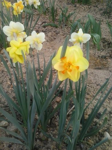 20160405_185348