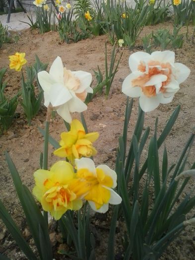 20160405_185402